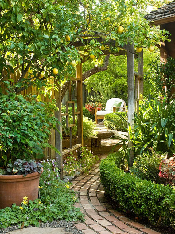 gradina16 Modern Backyard Garden Ideas To Help You Design Your Own Little Heaven Near Your House