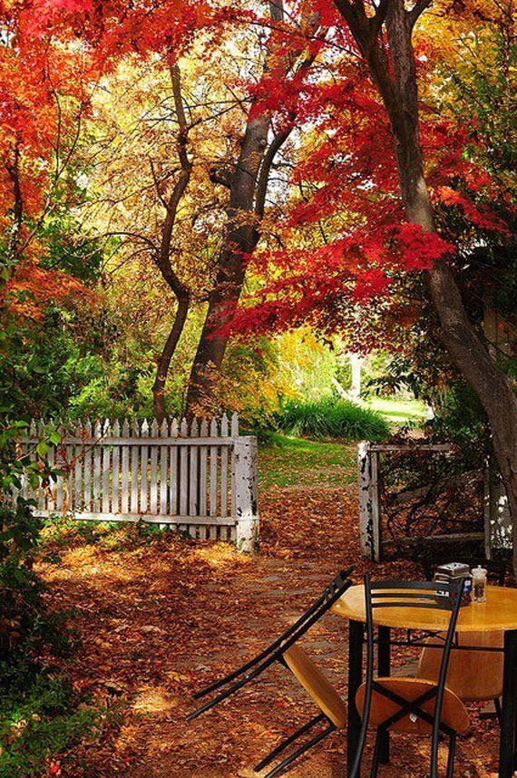 gradina34 Modern Backyard Garden Ideas To Help You Design Your Own Little Heaven Near Your House