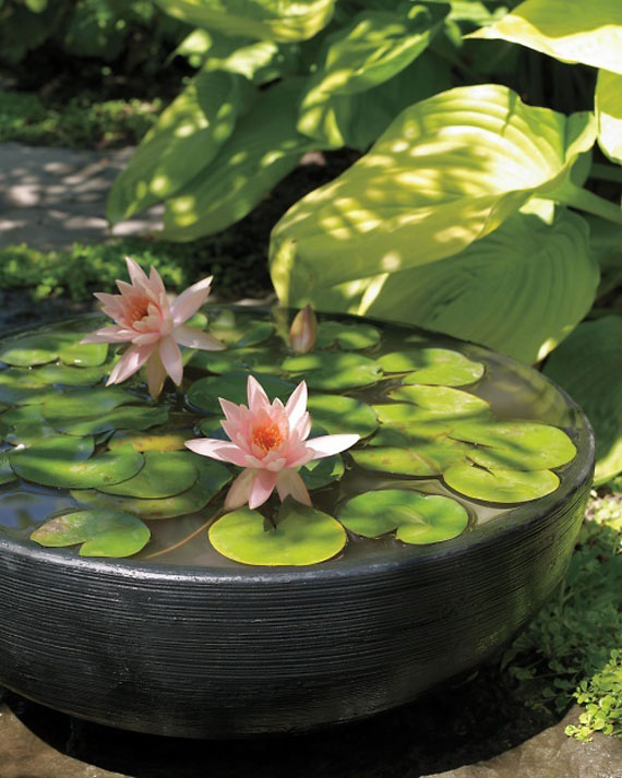 w28 Backyard Ponds And Water Garden Ideas - 31 Examples