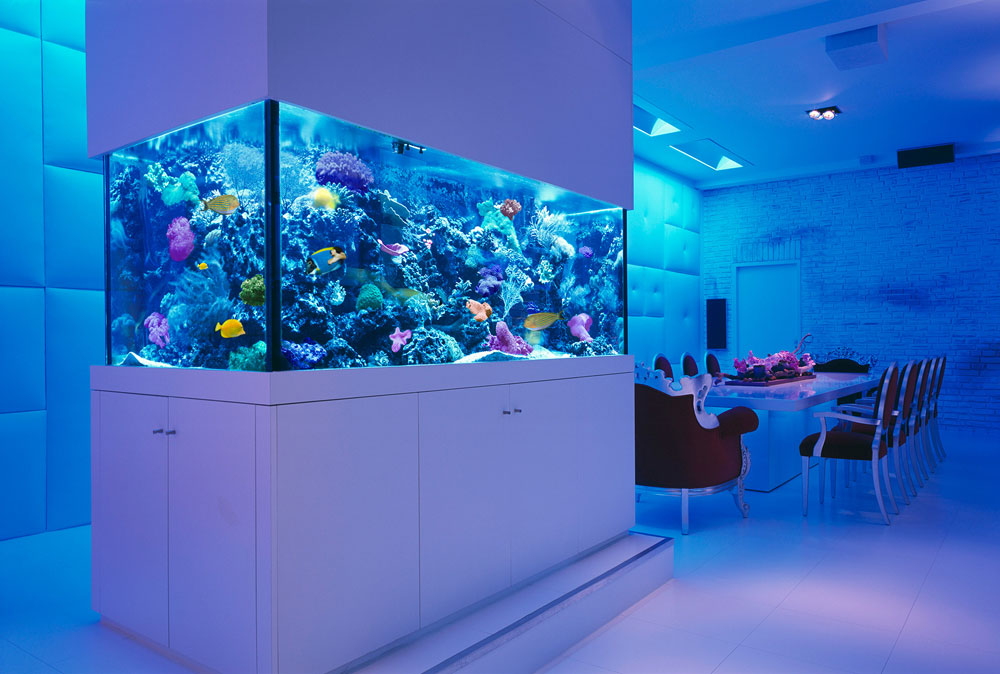 Change-The-Look-Of-Your-Room-With-This-Home-Aquarium-Tanks-1 Change The Look Of Your Room With These Home Aquarium Tanks