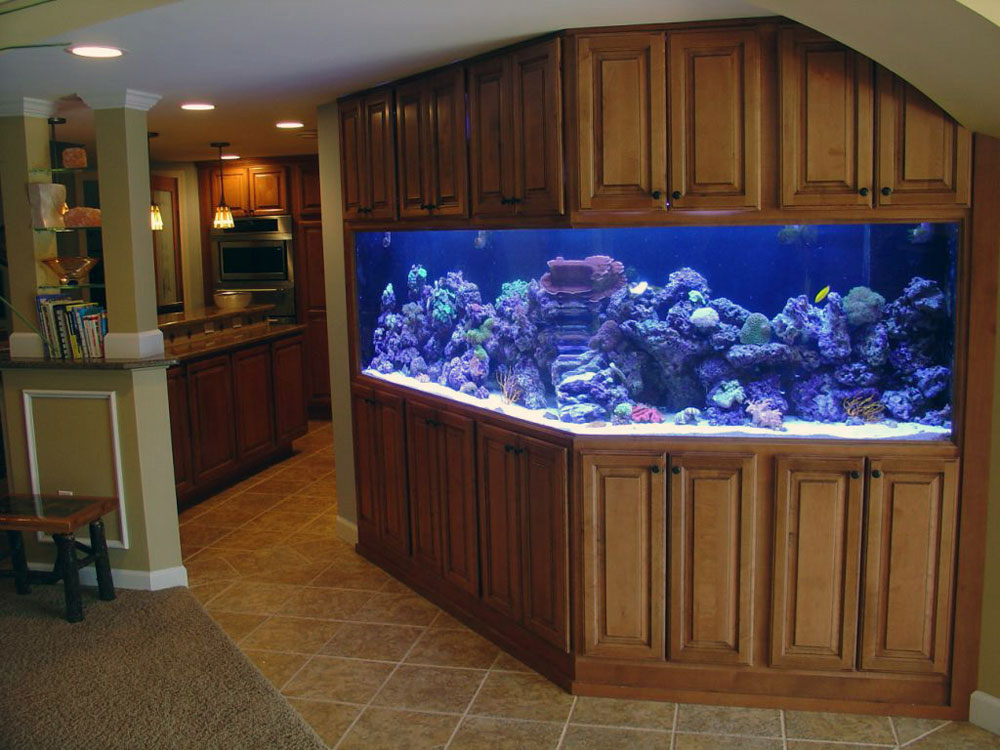 Change-The-Look-Of-Your-Room-With-This-Home-Aquarium-Tanks-11 Change The Look Of Your Room With These Home Aquarium Tanks