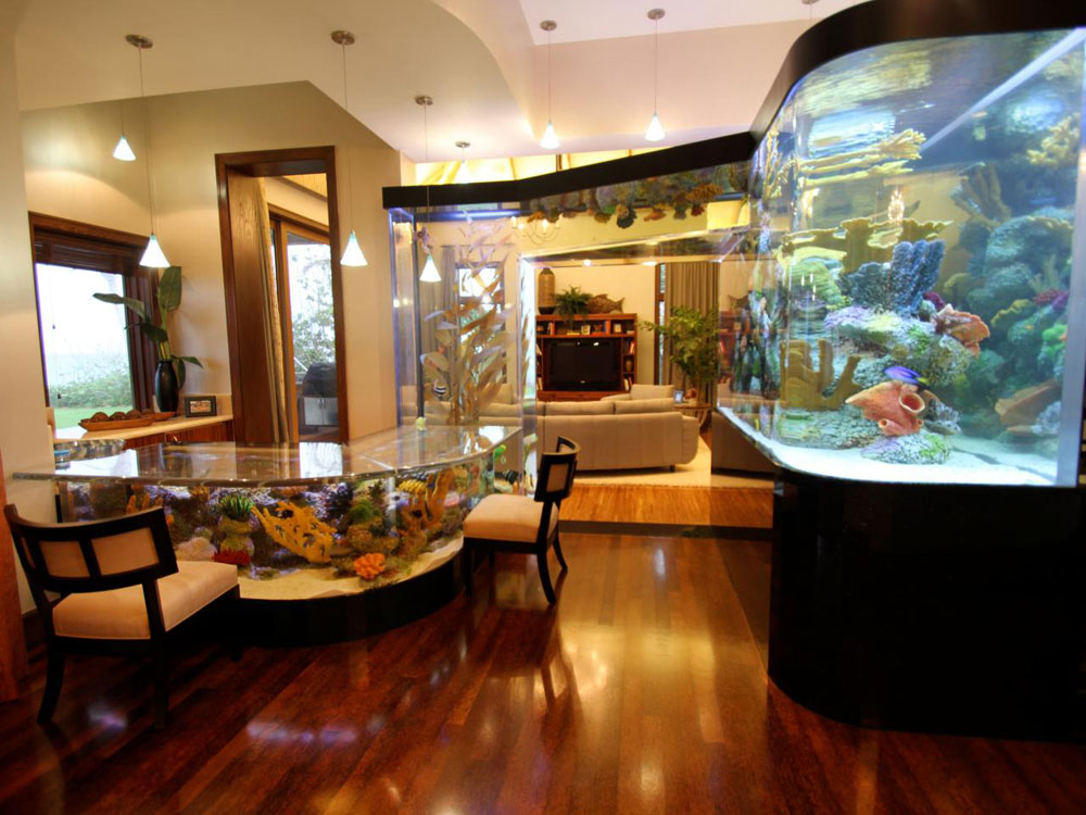 Change-The-Look-Of-Your-Room-With-This-Home-Aquarium-Tanks-7 Change The Look Of Your Room With These Home Aquarium Tanks