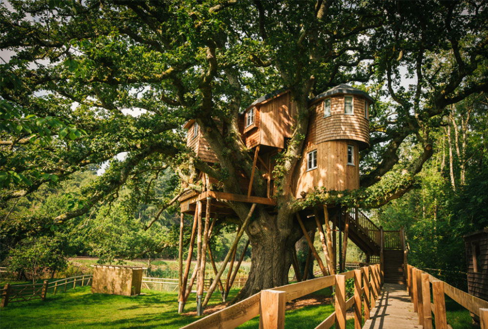 Image-10-9 Cool Treehouse Design Ideas To Build (44 Pictures)