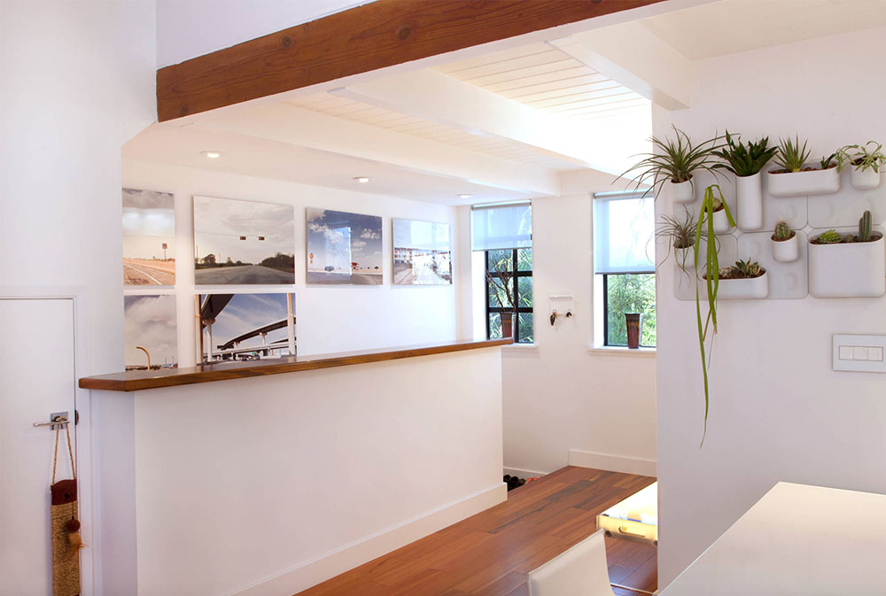 A-Big-Empty-Box-Becomes-a-Mod-Live-Work-Space-by-Margot-Hartford-Photography Hanging Planters: Indoor Flower Pot Baskets