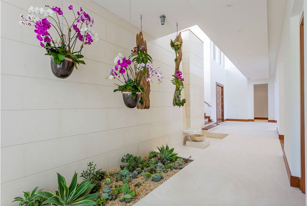 Davis-Residence-by-LandStudio Hanging Planters: Indoor Flower Pot Baskets