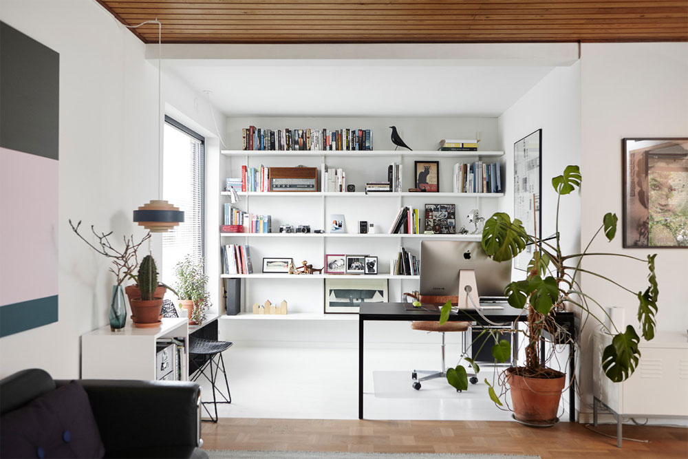 Houzz-Tours-Mikkel-Bahr-by-Mia-Mortensen-Photography Monstera Deliciosa: How To Use It To Decorate Your Rooms