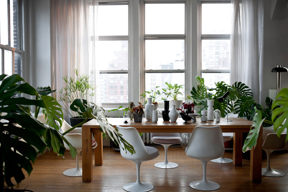 The-Glass-Farmhouse-Loft-by-Kit-Republic Monstera Deliciosa: How To Use It To Decorate Your Rooms