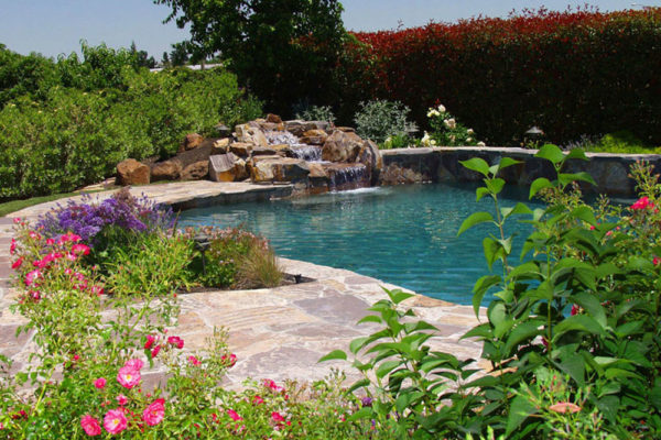 DIY pool: How to build a natural swimming pool