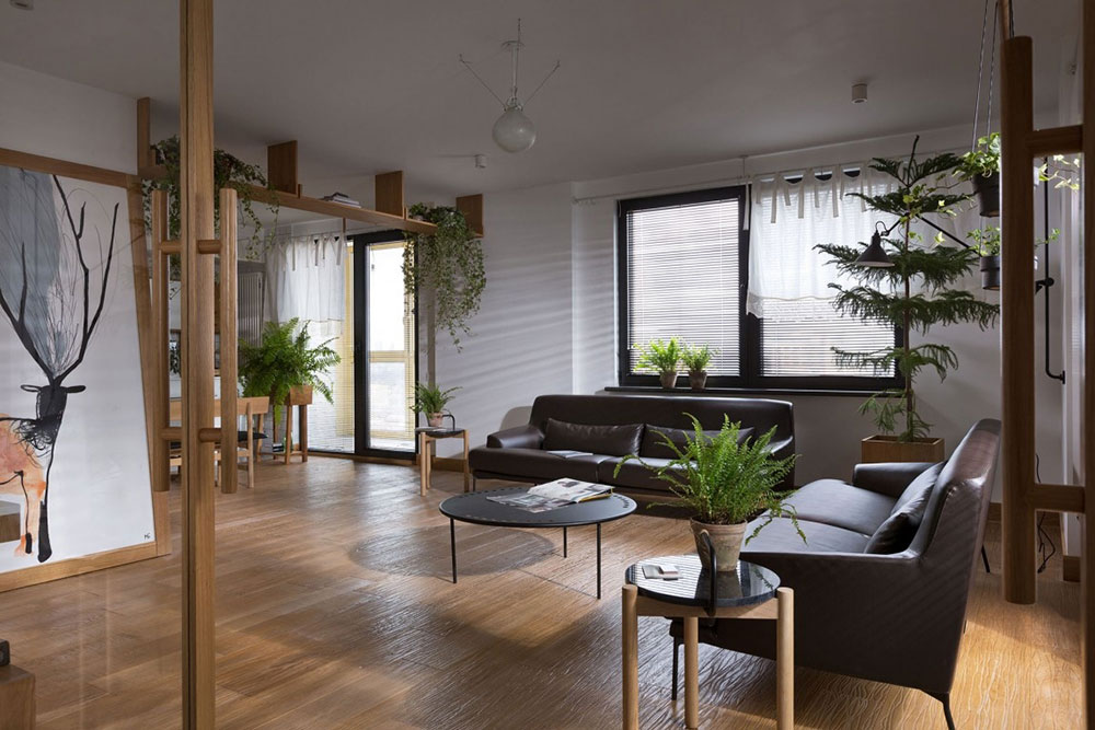 1-apartment-plants-air-purification How to Incorporate Plants Into an Apartment