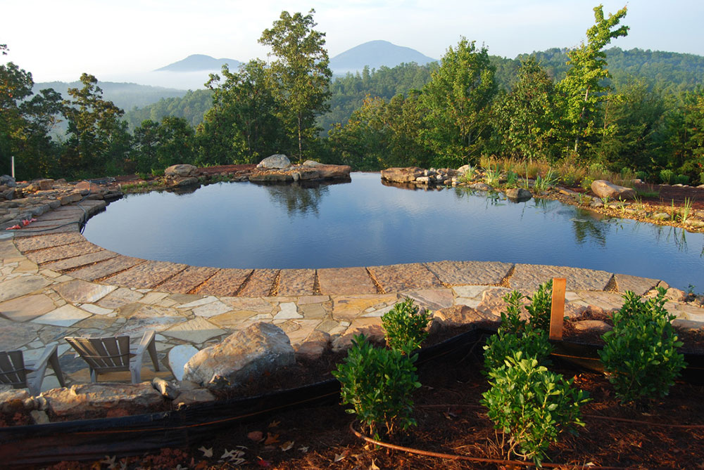 996044_orig DIY pool: How to build a natural swimming pool