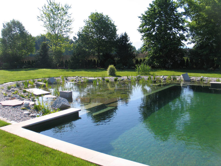 DIY pool: How to build a natural swimming pool