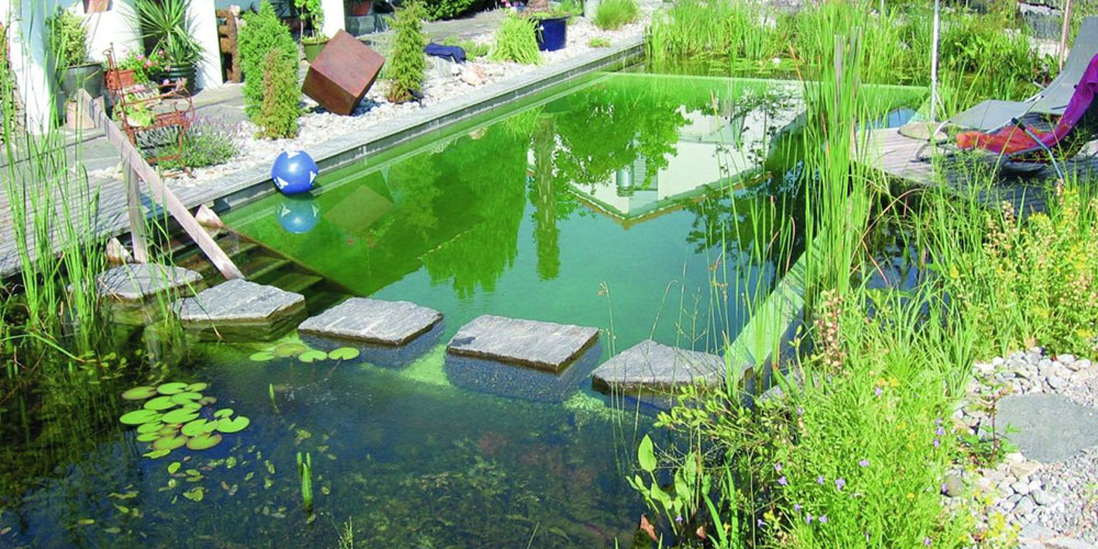 How To Build A Natural Swimming Pool