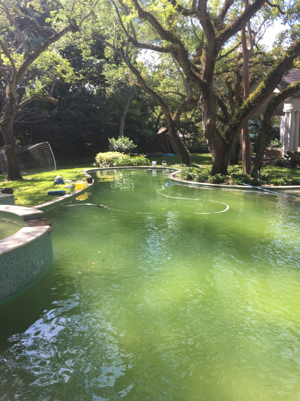 Green-Pool-Algae-Removal-Shock-Treatment-by-Acquality-Pool-service How to do pool maintenance to be sure that you have a great pool