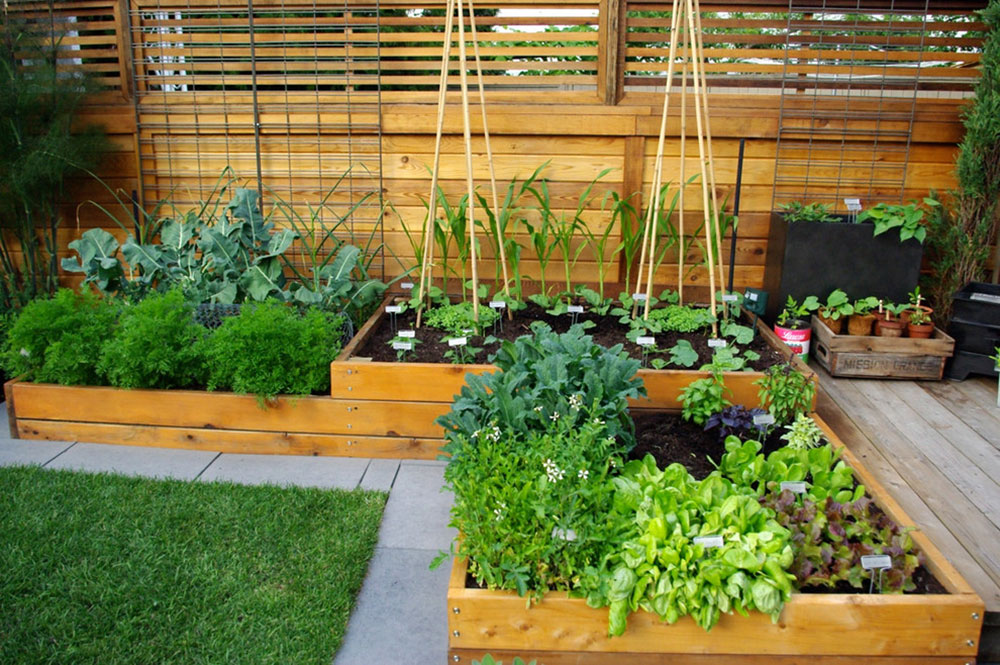 Aloe-Test-Garden-by-Aloe-Designs Decorating with Pallet Furniture? Here are some Tips