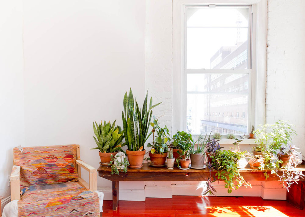 Houzz-Tour-Eclectic-Minimalist-Brooklyn-Apartment-by-Rikki-Snyder Buying a plant stand? Think how you’ll decorate with it.