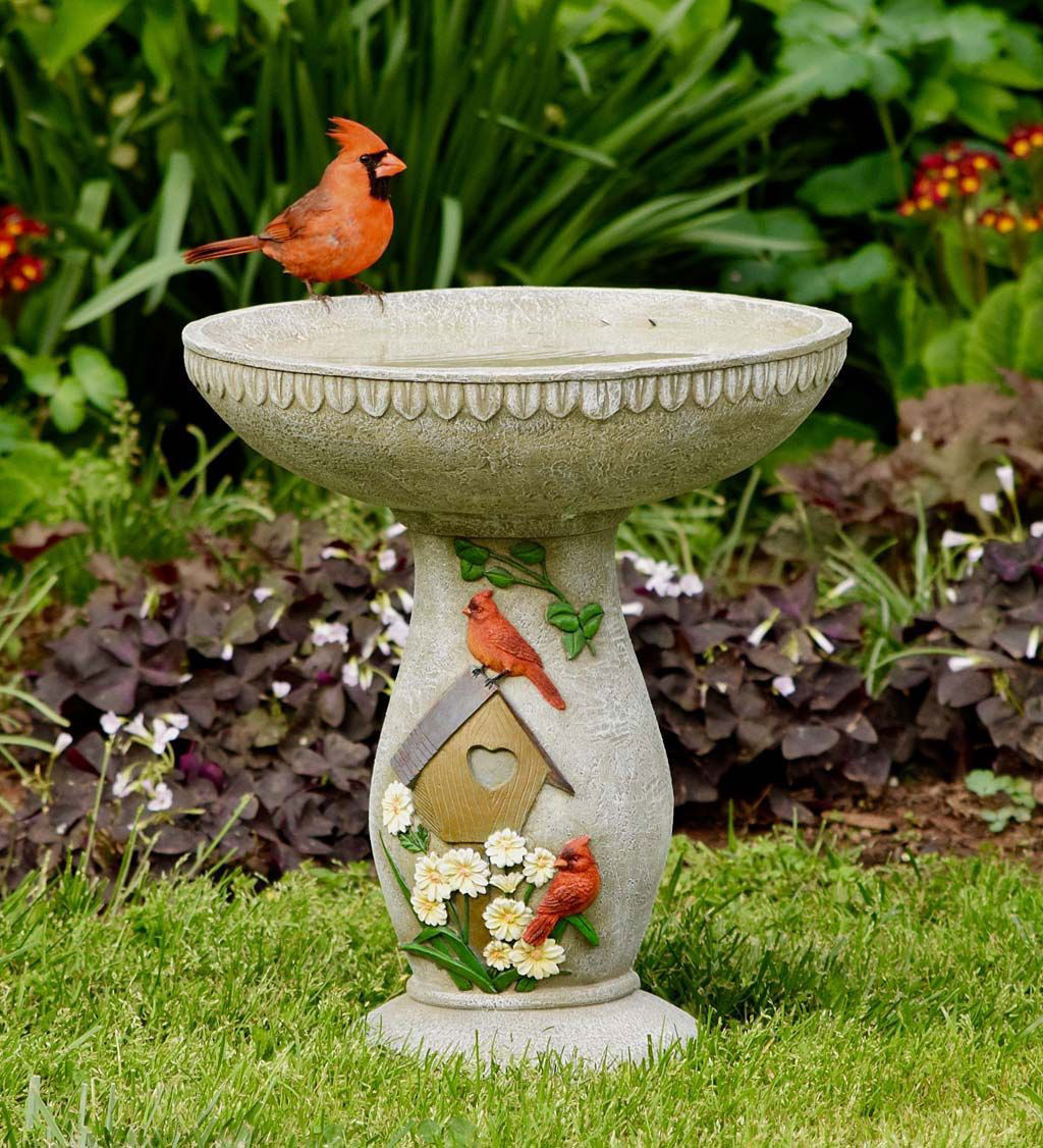 birdbath How to attract cardinals in your house's backyard (Great tips)