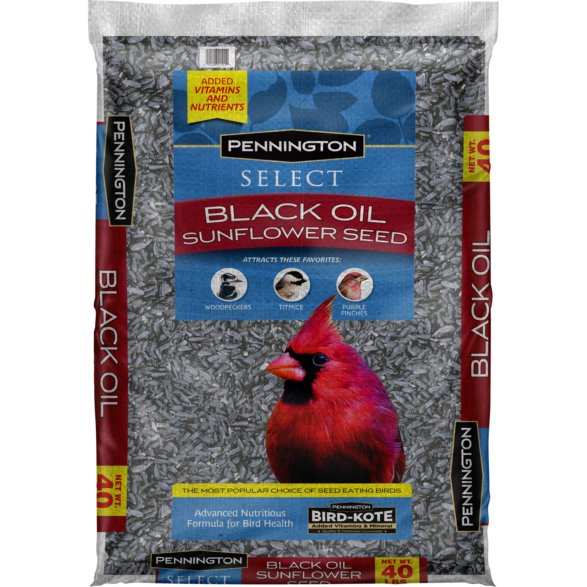 blackoil-sunflower How to attract cardinals in your house's backyard (Great tips)