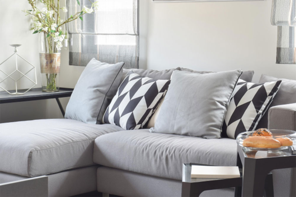 1231 Comfy Couches - A Guide to Picking the Right Furniture for Your Home