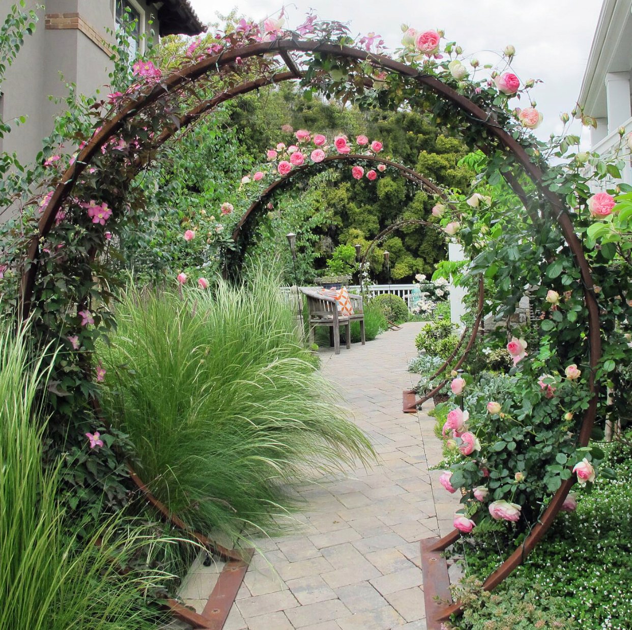 Gracie_modern_arbor_walkway_roses_arches Garden trellis ideas that are inexpensive and look great