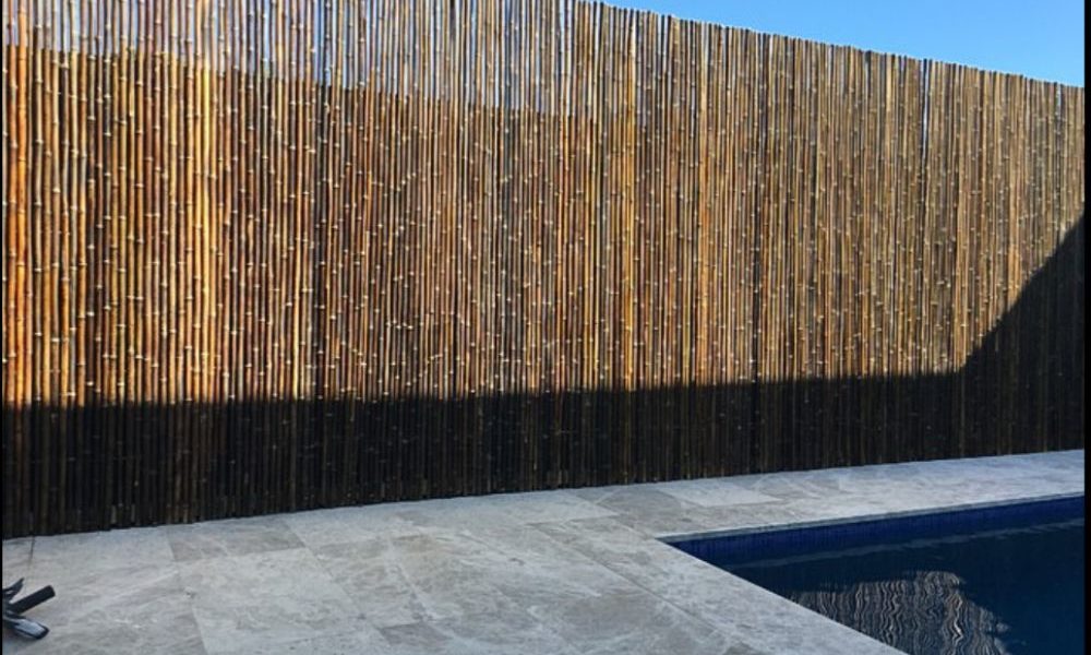 bamb-1000x600 Pool fence ideas to make the swimming pool look amazing