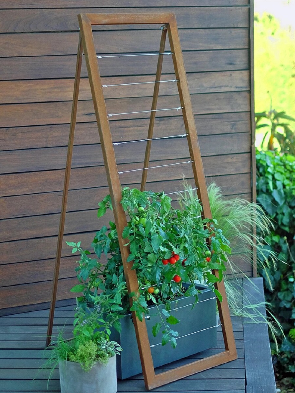deck_modern_tomato_trellis_Mira_garden-1-1 Garden trellis ideas that are inexpensive and look great