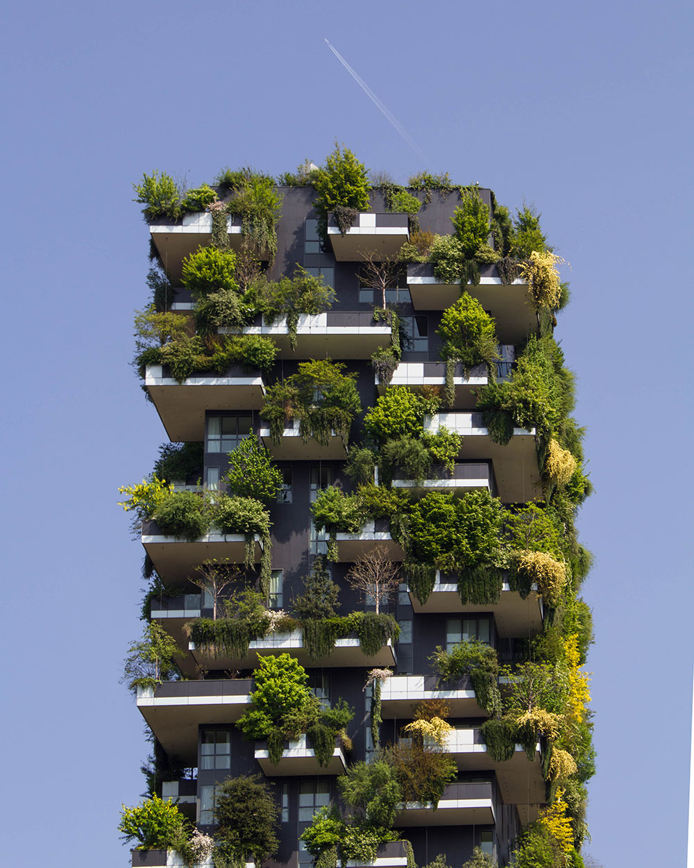 Sustainable Architecture to Minimize Negative Environmental Impacts