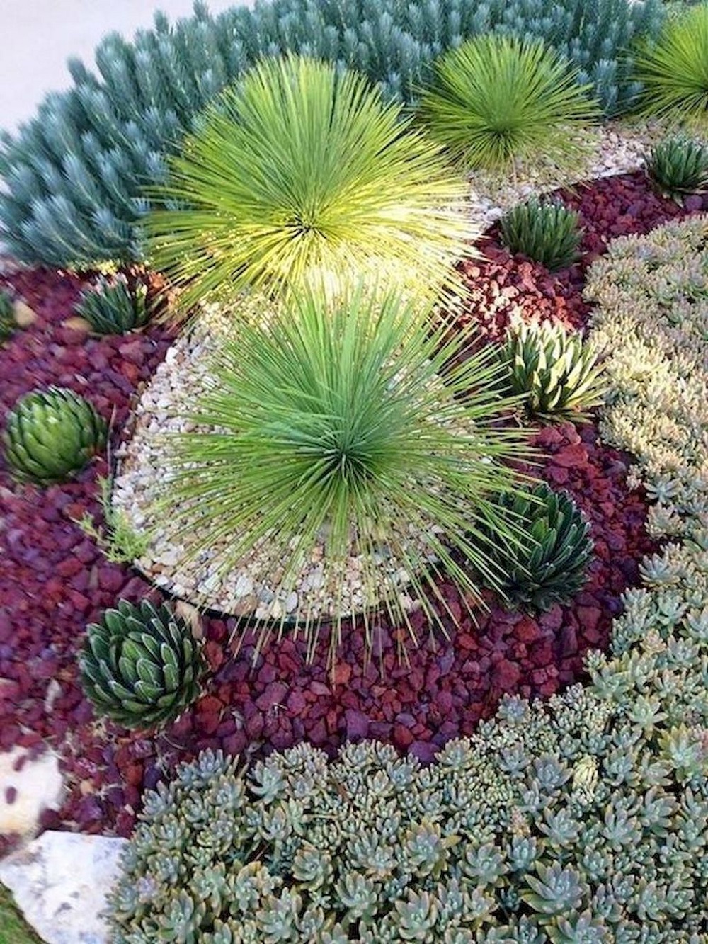 t1-2 Amazing cactus garden ideas you could try for your backyard