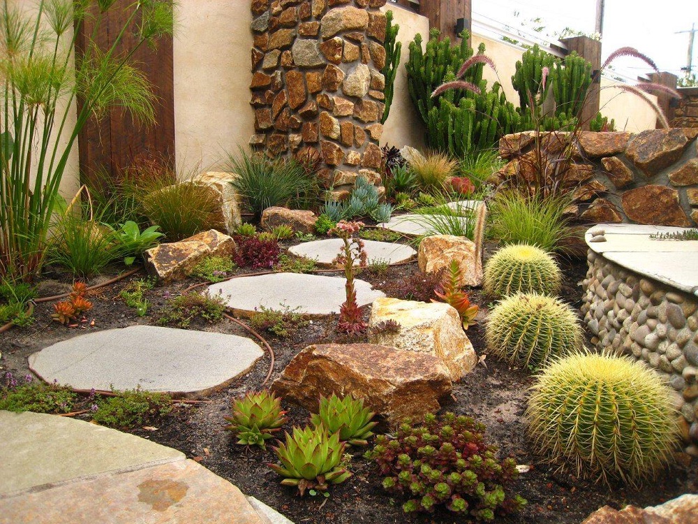 Amazing Cactus Garden Ideas You Could, Cactus Rock Garden Ideas