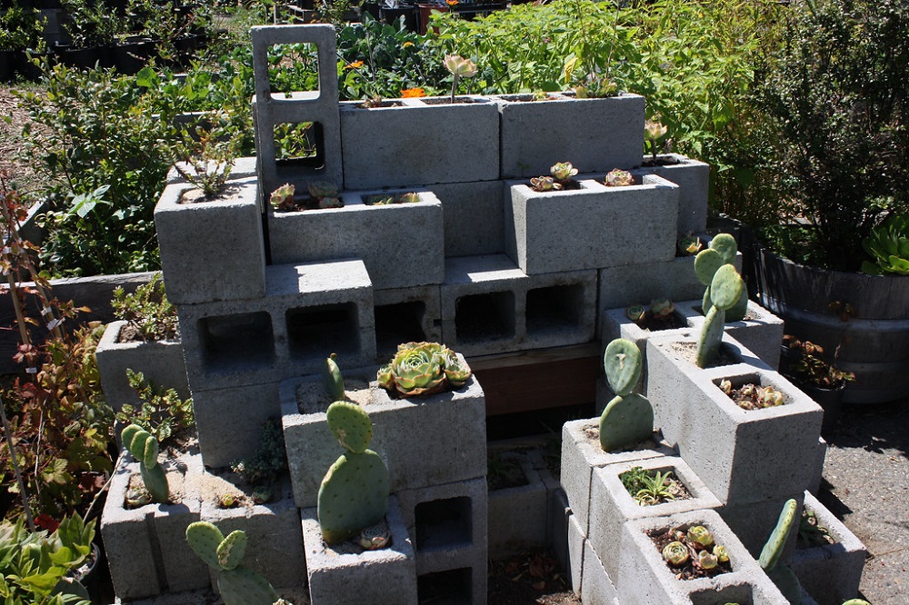 t6-1 Amazing cactus garden ideas you could try for your backyard