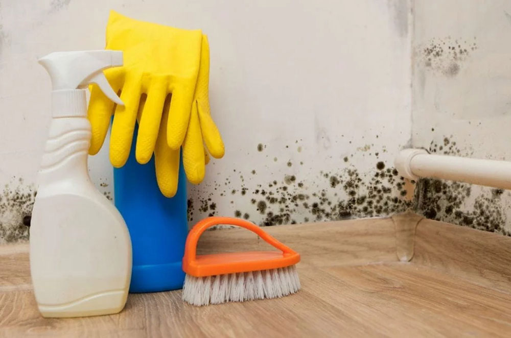bleach How to get rid of basement smell? Quick tips to get it done