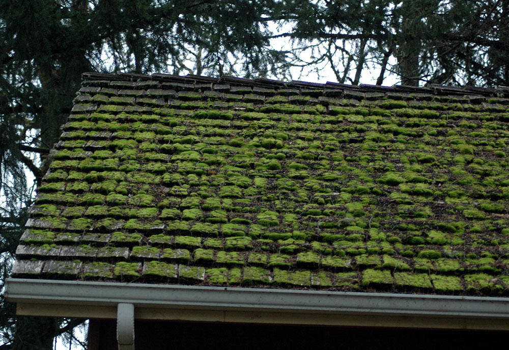 moses How to remove moss from roof naturally