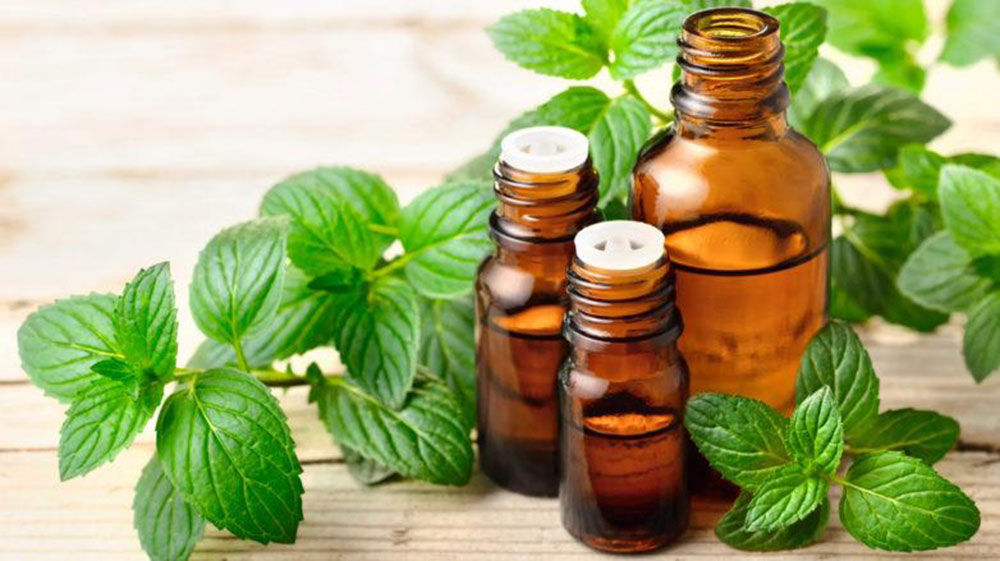 peppermint-oil How to get rid of roof rats once and for all