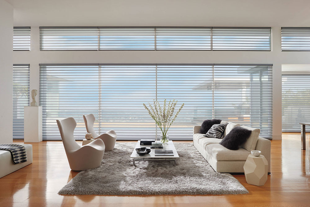 Hunter-Douglas-by-Hunter-Douglas What's the best living room rug placement? (Answered)