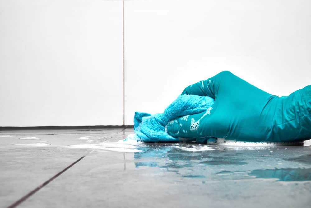 How To Clean The Shower Floor And Have It Squeaky Clean