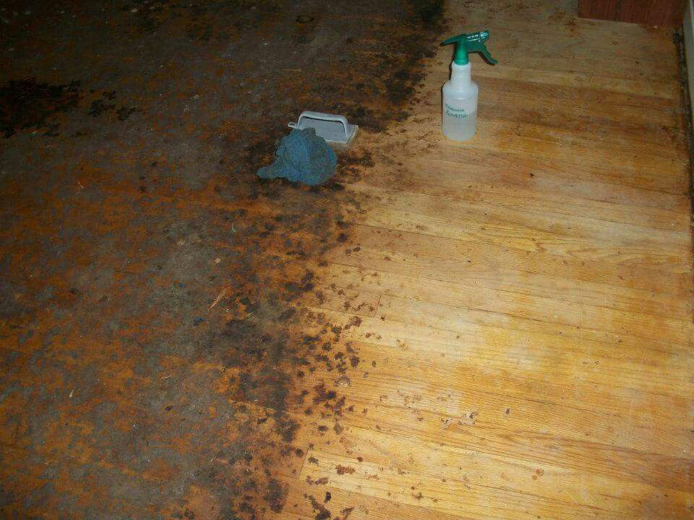 Remove Carpet From Hardwood Floors, How Do You Get Glue Off Of Hardwood Floors