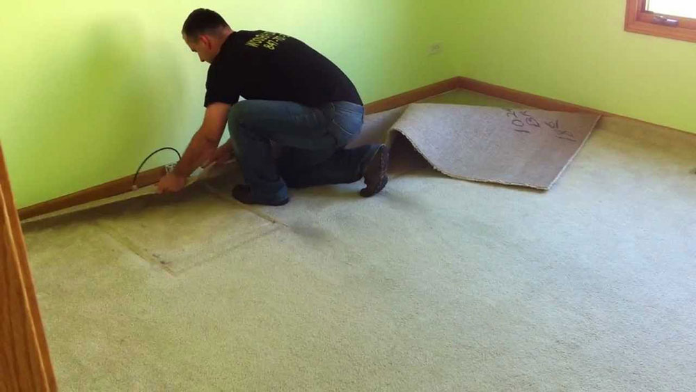 removing-carpet How to remove carpet from hardwood floors (Quick guide)