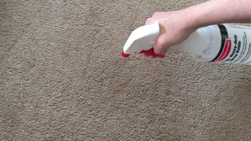 Check-that-the-compound-does-not-damage-the-carpet How to clean an area rug on hardwood floor (Great guide)