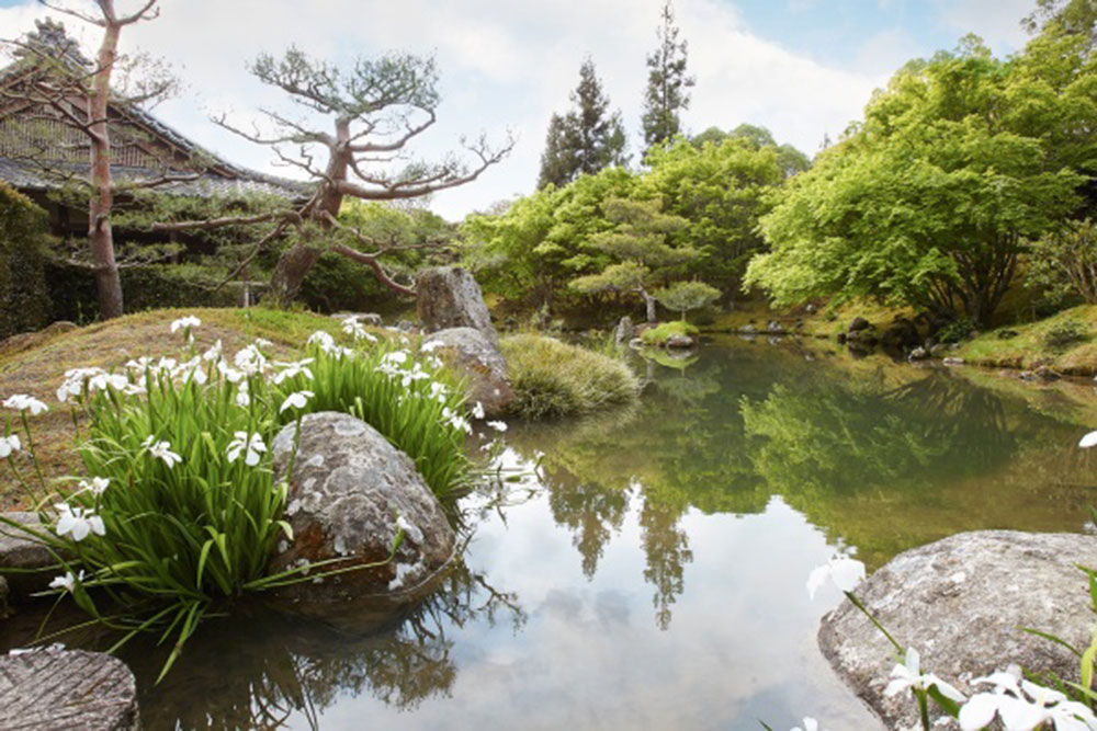 Japanese-Garden-of-Contemplation-A-melancholic-atmosphere Use these Zen garden ideas to create a relaxing outdoor space