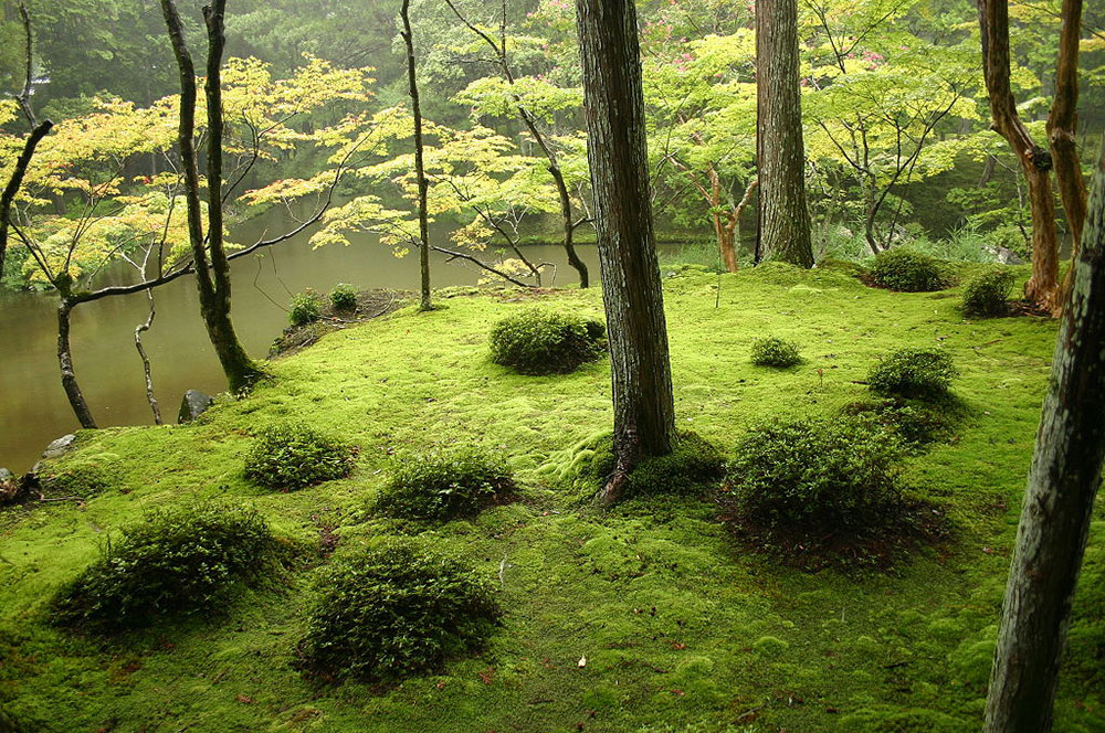 Saiho-ji-Magical-aura Use these Zen garden ideas to create a relaxing outdoor space