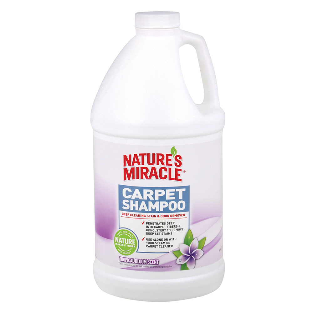 carpet-shampoo How to clean an area rug on hardwood floor (Great guide)