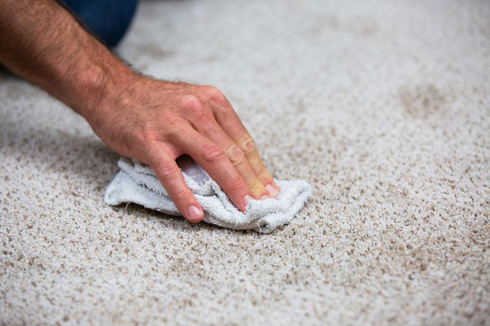 stain How to clean an area rug on hardwood floor (Great guide)