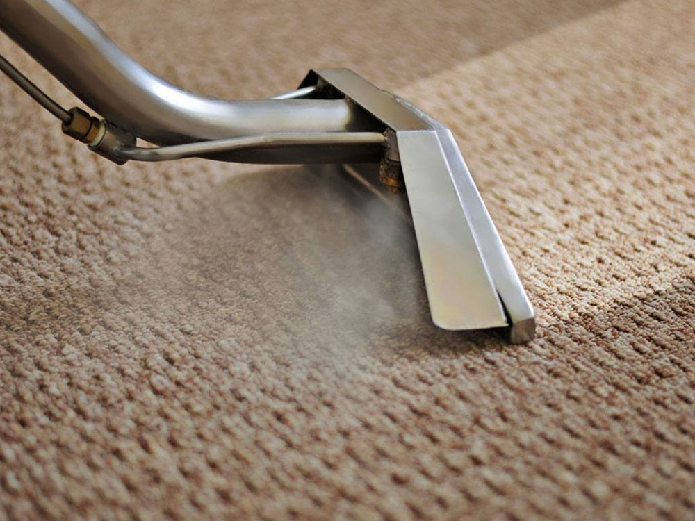 steam-cleaner How to clean an area rug on hardwood floor (Great guide)