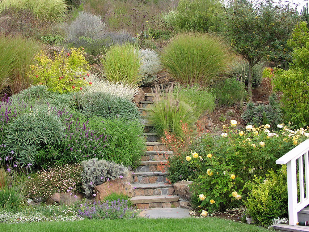Garden-Paths-and-Landscape-Steps-by-Derviss-Design Rain garden design ideas you can create around your house
