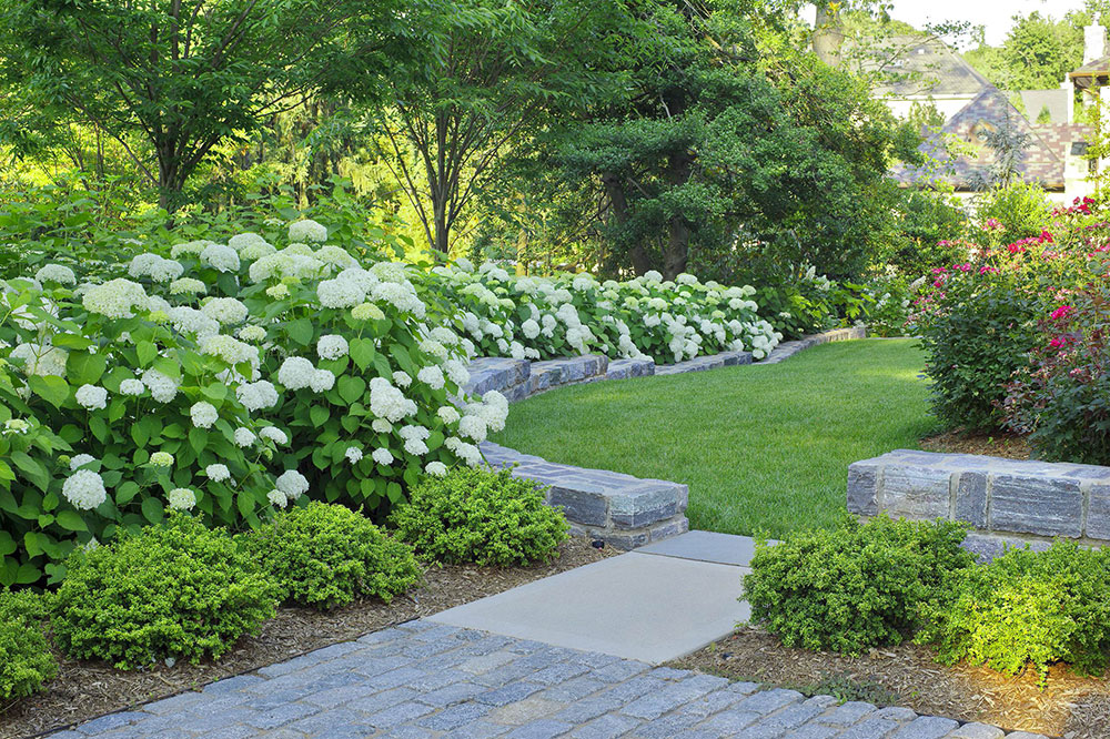 North-Arlington-Residence-by-Katia-Goffin-Gardens Rain garden design ideas you can create around your house