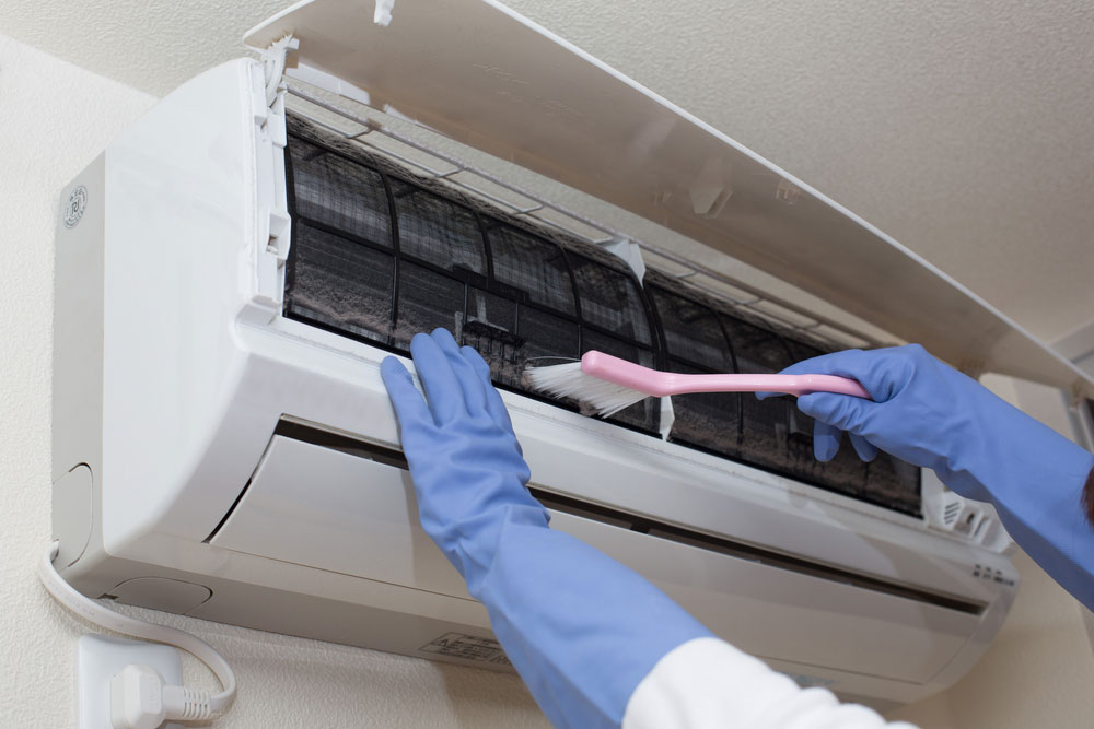 cleanac What Kind of Mold Grows in Window Air Conditioners and How to Get Rid of It?