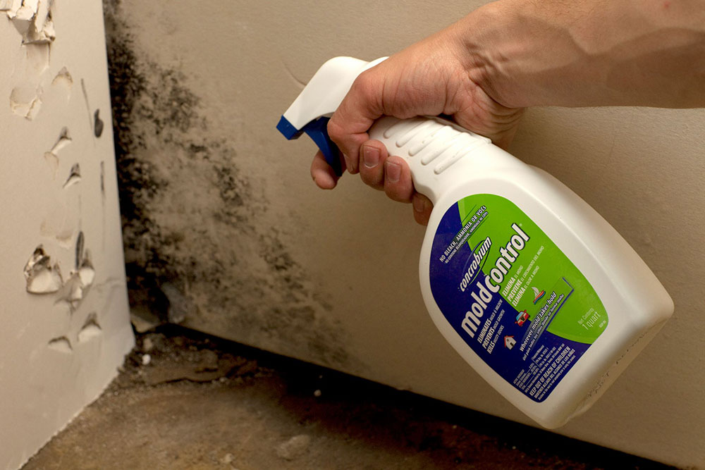 mold-control How to get rid of musty smell in basement with a few quick tips