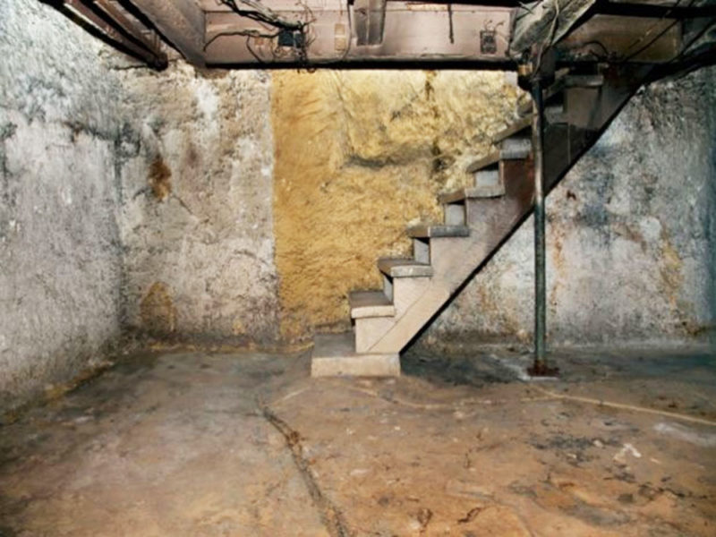 How to get rid of musty smell in basement with a few quick tips