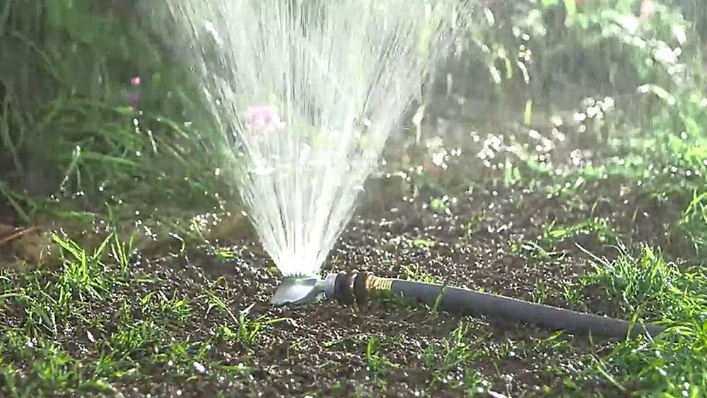 watering What is the Fastest Growing Grass Seed? (Answered)