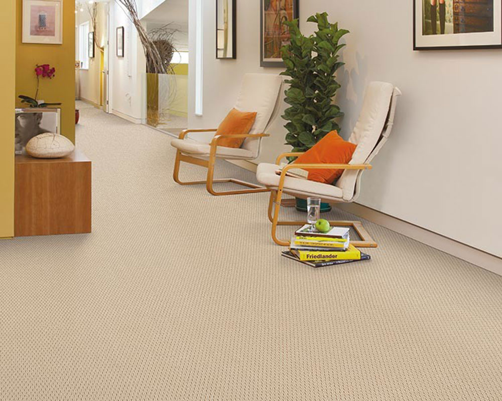 Carpet-by-Absolute-Flooring What are the pros and cons of having a Berber carpet