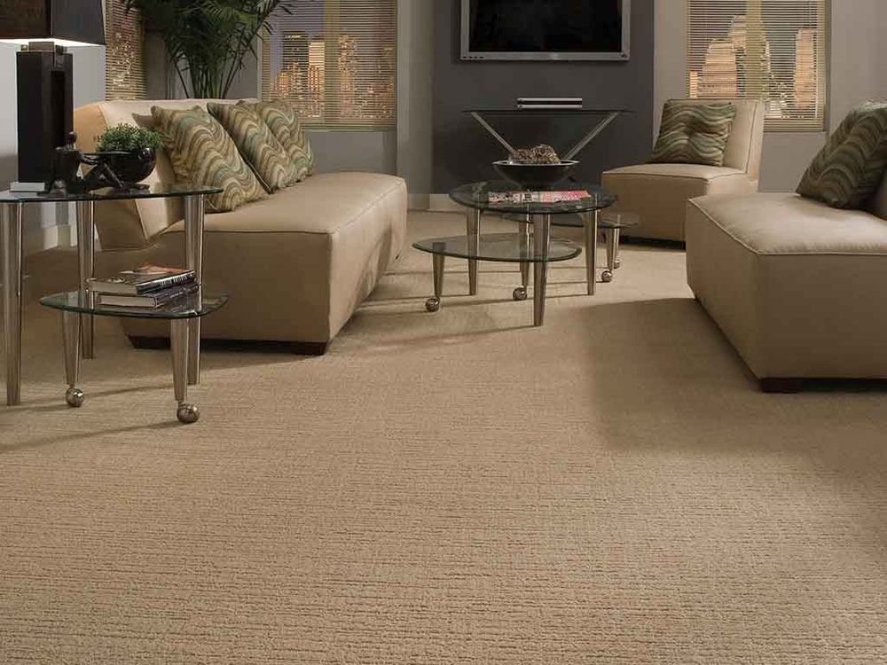 Cut-n-Loop-Patterned-Carpet-by-Mercer-Floor-and-Home-Carpet-One What’s the Best Carpet for Pets? Search No More (Answered)